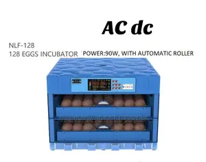 Eggs Incubator