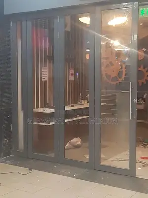 Windows and Doors Repair