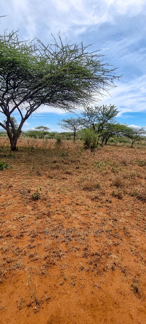 5 Acres Sajiloni at 1.2m Per Acre - main view