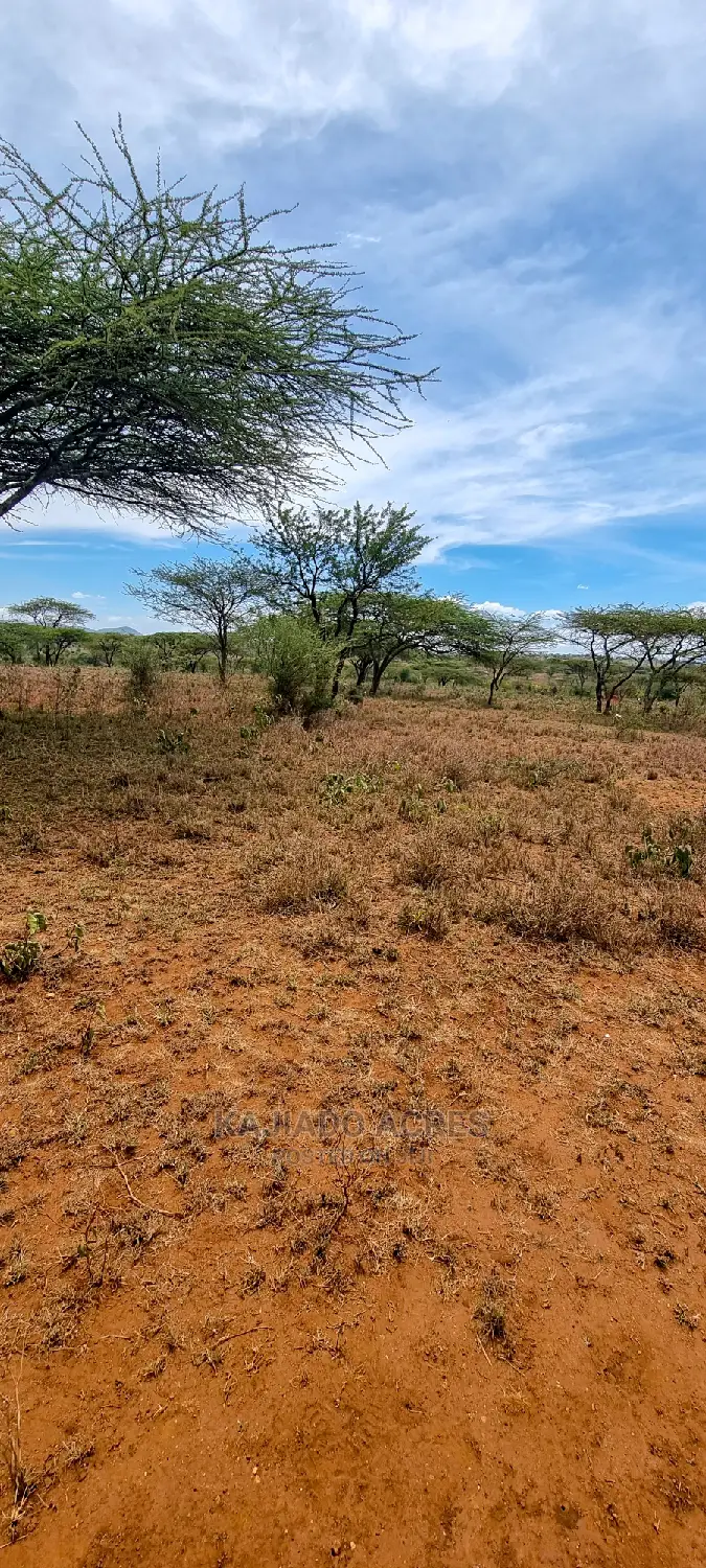 5 Acres Sajiloni at 1.2m Per Acre