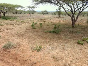 5 Acres Sajiloni at 1.2m Per Acre