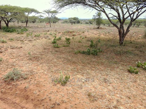 5 Acres Sajiloni at 1.2m Per Acre - thumbnail 4