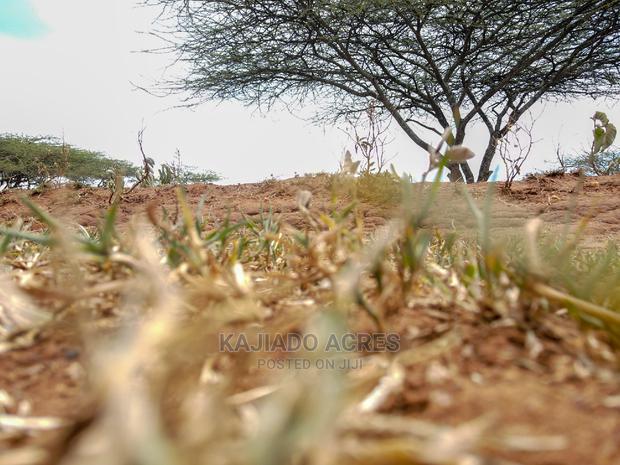 5 Acres Sajiloni at 1.2m Per Acre - thumbnail 6