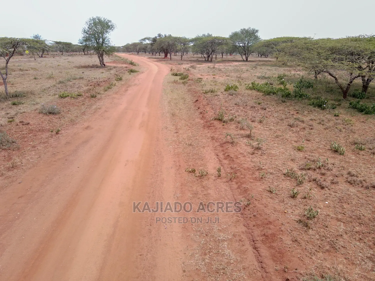 5 Acres Sajiloni at 1.2m Per Acre