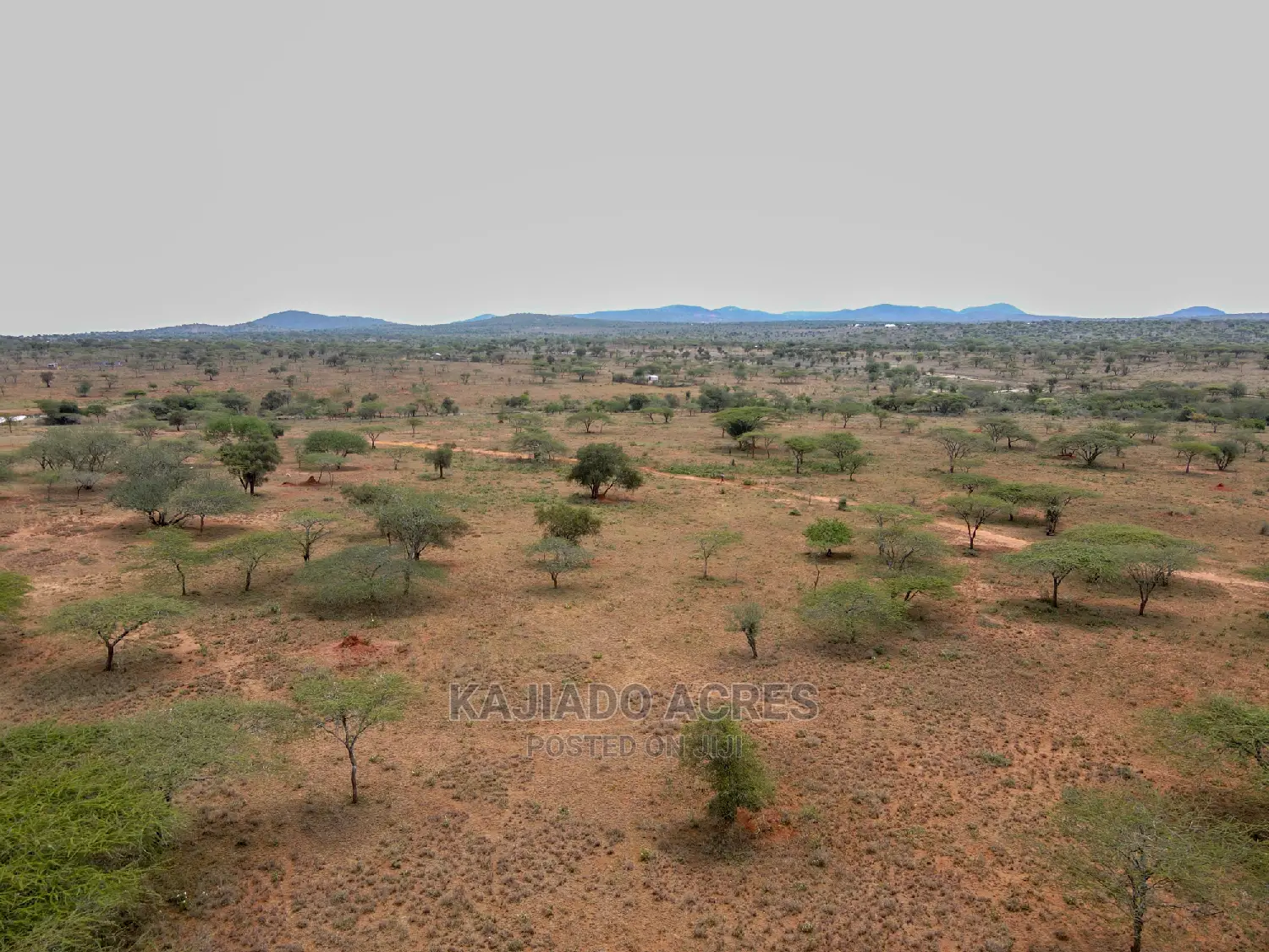 5 Acres Sajiloni at 1.2m Per Acre