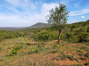 10 Acres Nkorika at 600k Per Acre - main view