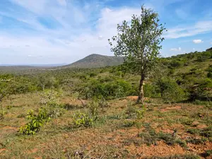 10 Acres Nkorika at 600k Per Acre