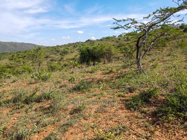 10 Acres Nkorika at 600k Per Acre - thumbnail 5