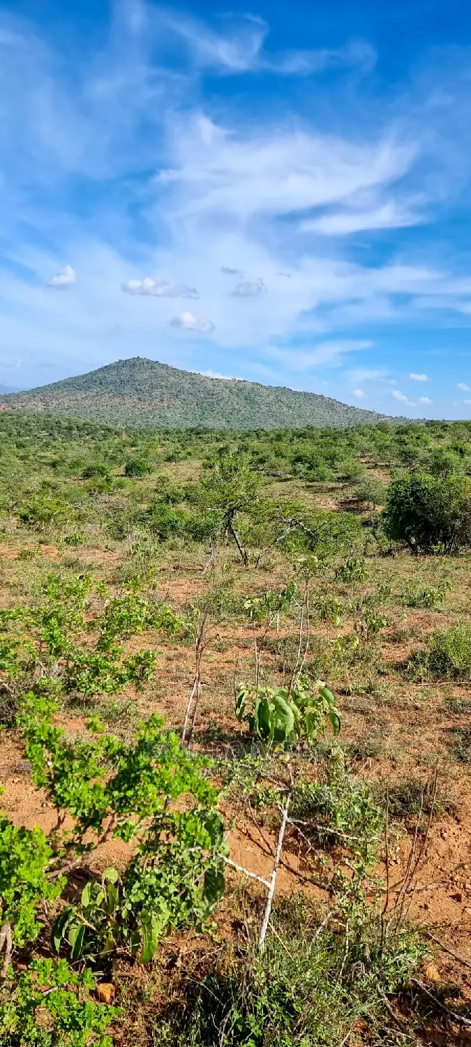 10 Acres Nkorika at 600k Per Acre