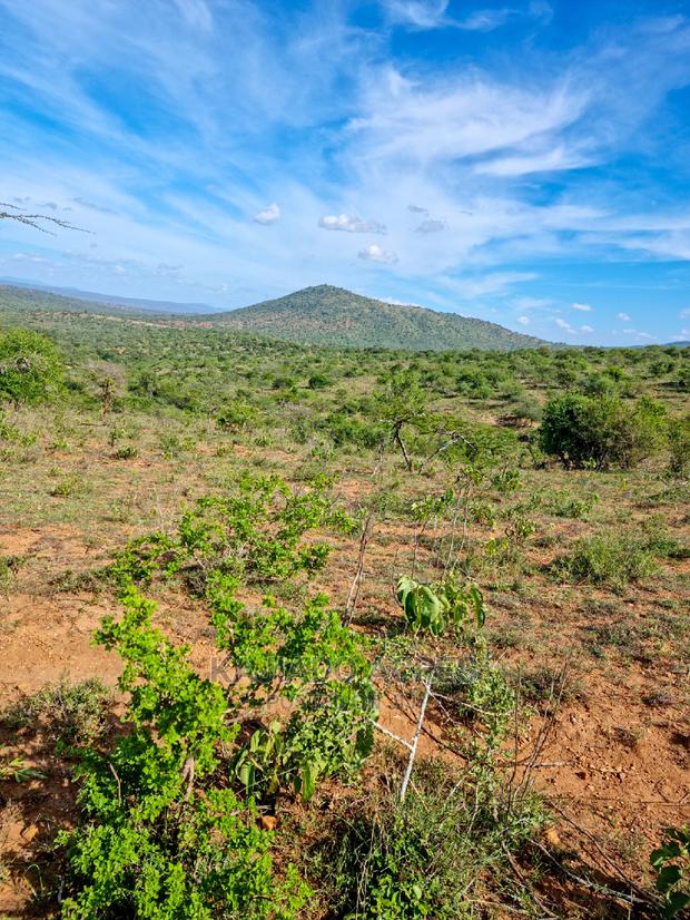 10 Acres Nkorika at 600k Per Acre - thumbnail 7
