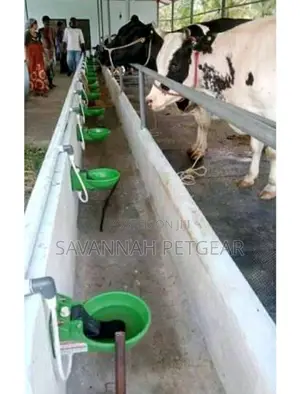 Automatic Cow Horse Drinkers
