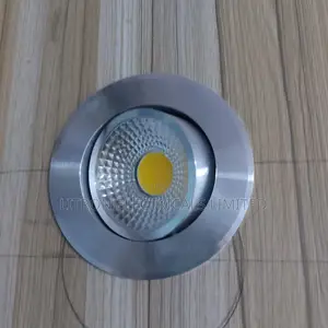 Silver Downlighters