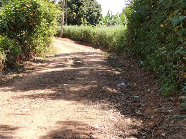 2acres Karatina/Mwanda Coffee Area - main view