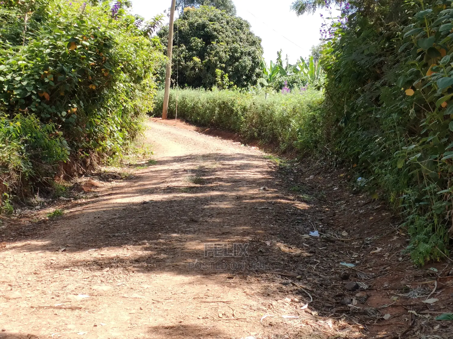 2acres Karatina/Mwanda Coffee Area