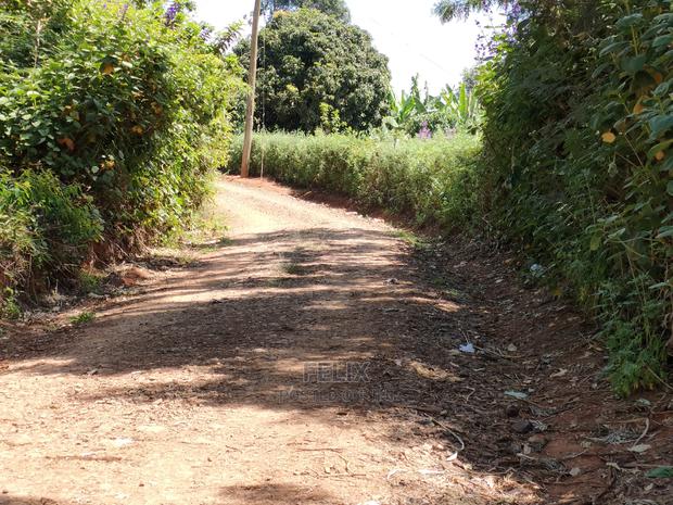 2acres Karatina/Mwanda Coffee Area - thumbnail 2