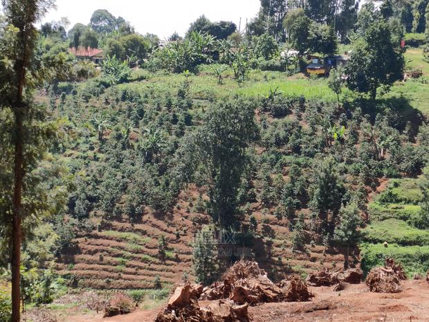 2acres Karatina/Mwanda Coffee Area - thumbnail 4