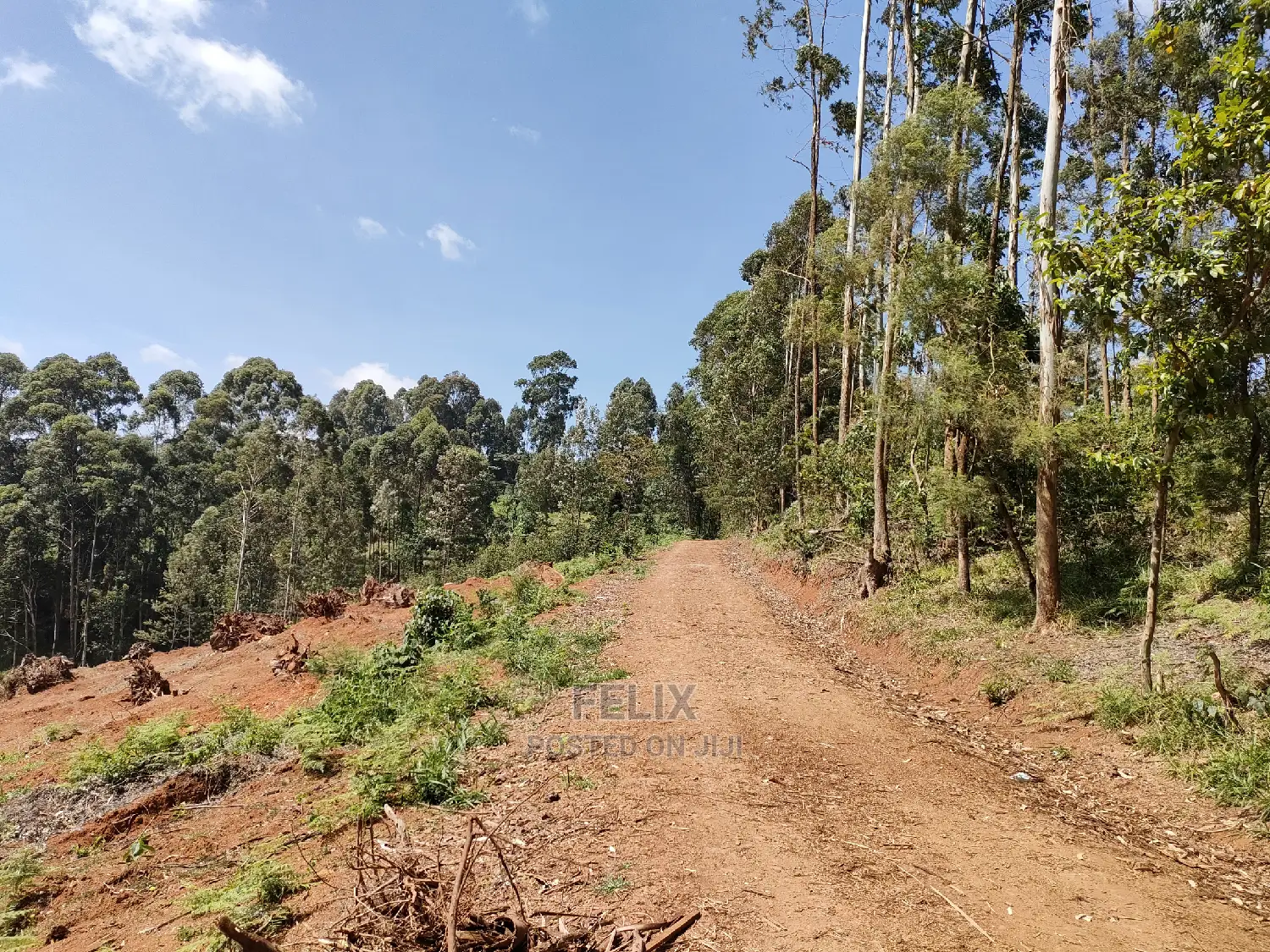 2acres Karatina/Mwanda Coffee Area