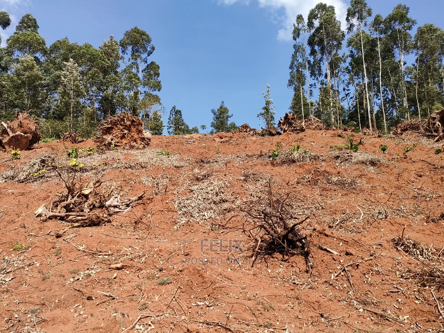 2acres Karatina/Mwanda Coffee Area