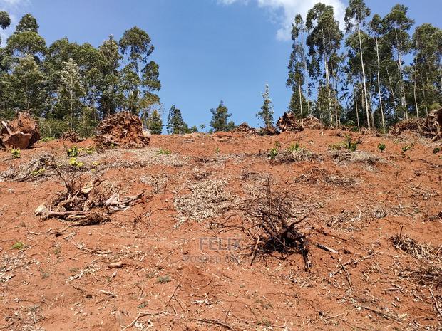 2acres Karatina/Mwanda Coffee Area - thumbnail 7