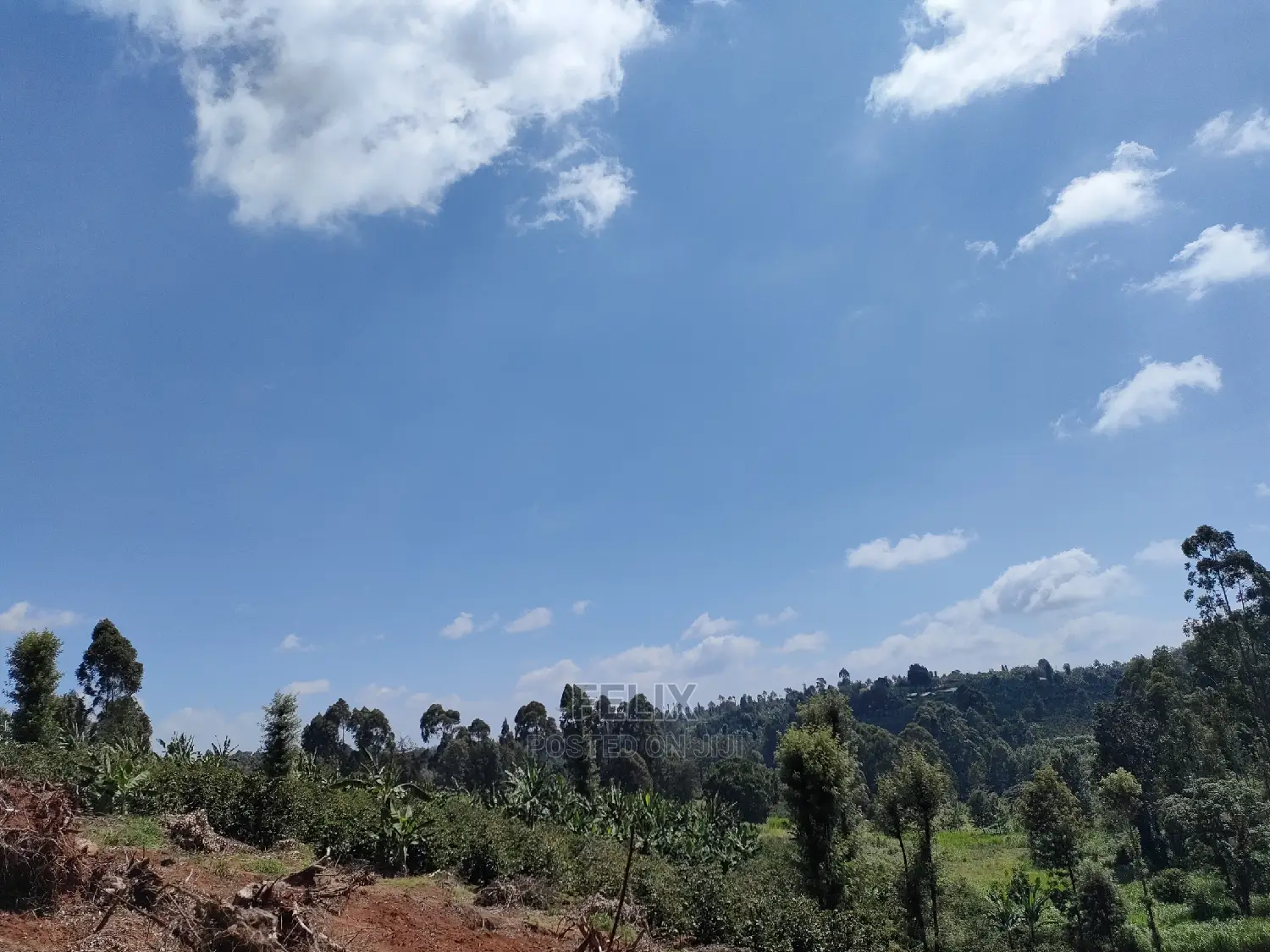 2acres Karatina/Mwanda Coffee Area