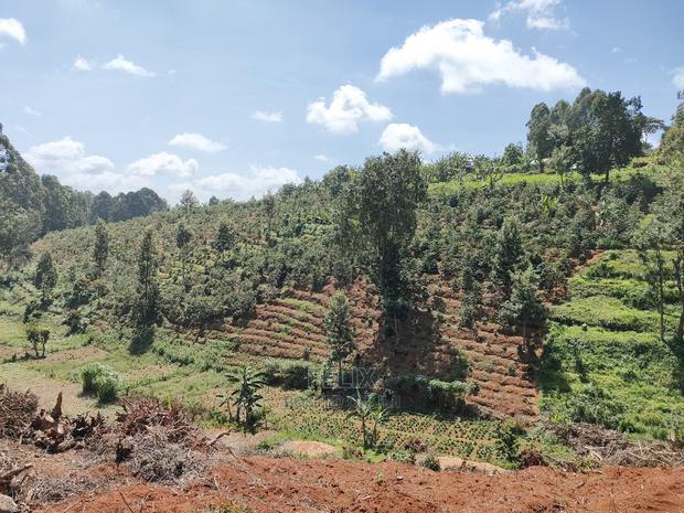 2acres Karatina/Mwanda Coffee Area - thumbnail 12