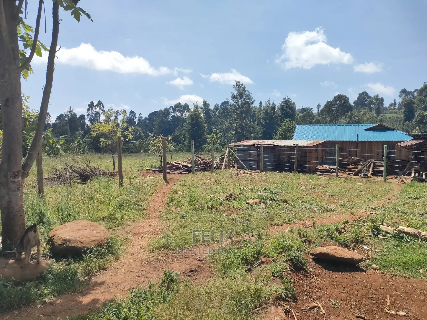 Karatina/Mwanda Quota Plot on Sale