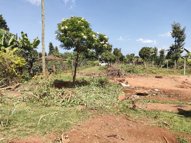 Karatina/Mwanda Quota Plot on Sale - thumbnail 5