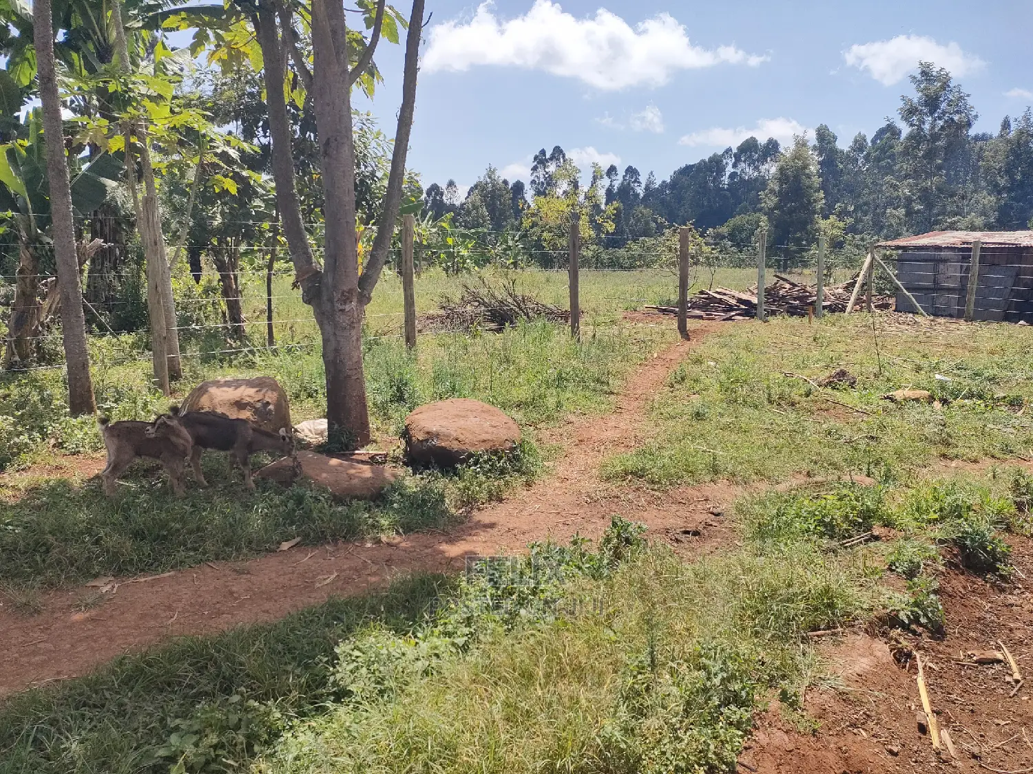 Karatina/Mwanda Quota Plot on Sale