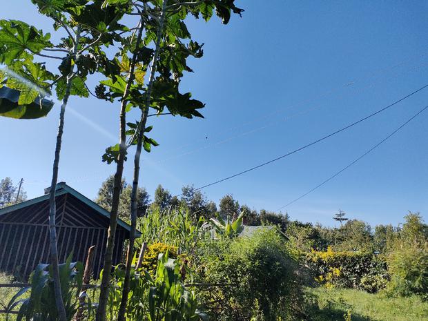 Karatina/Kabiruini Quota Plot - main view