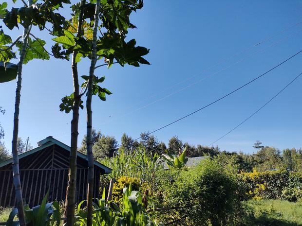 Karatina/Kabiruini Quota Plot - thumbnail 6