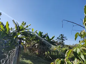 Karatina/Kabiruini Quota Plot