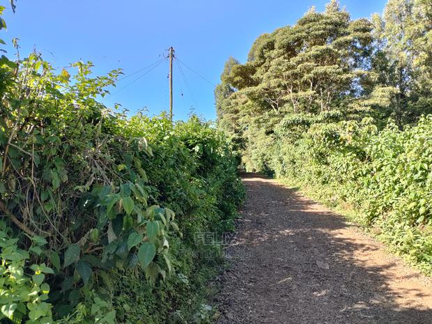 Karatina/Kabiruini Quota Plot - thumbnail 5