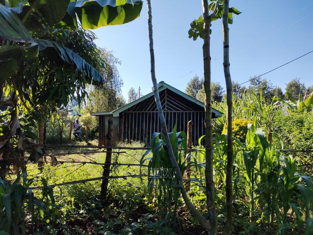 Karatina/Kabiruini Quota Plot - thumbnail 7