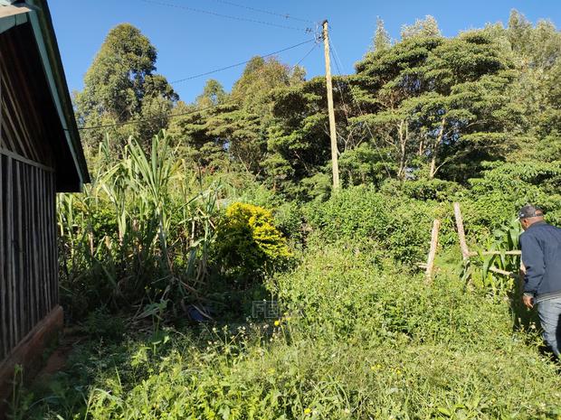 Karatina/Kabiruini Quota Plot - thumbnail 8