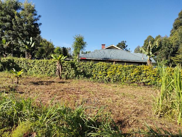 Karatina/Kabiruini Quota Plot - thumbnail 10