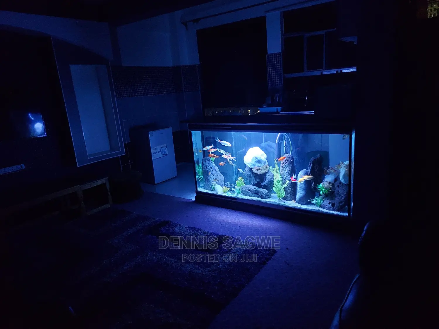 Aquadore Large Aquariums