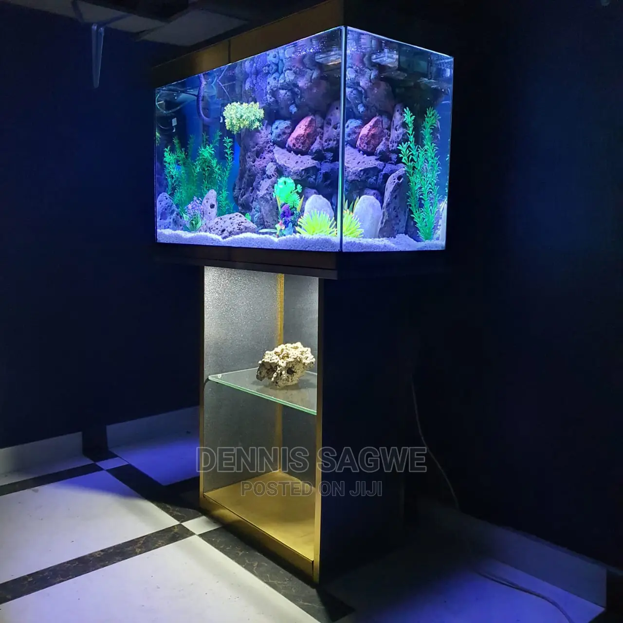 Aquadore Large Aquariums