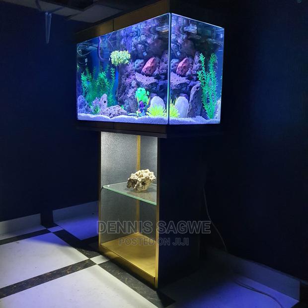 Aquadore Large Aquariums - thumbnail 19