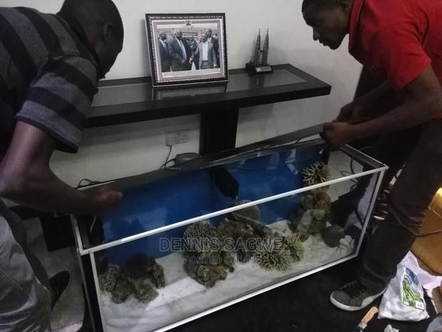 Aquadore Large Aquariums - thumbnail 15