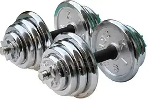 Brand New 10kgs Chrome Dumbbells With Casing