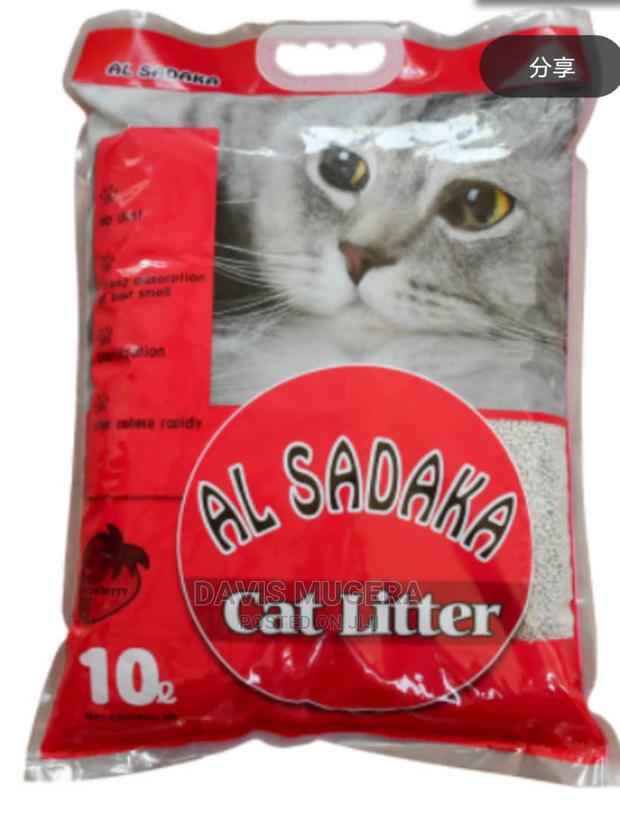 5 Litres Cat Litter for Happy Clean Cats - thumbnail 8