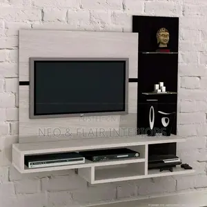 Entertainment Unit