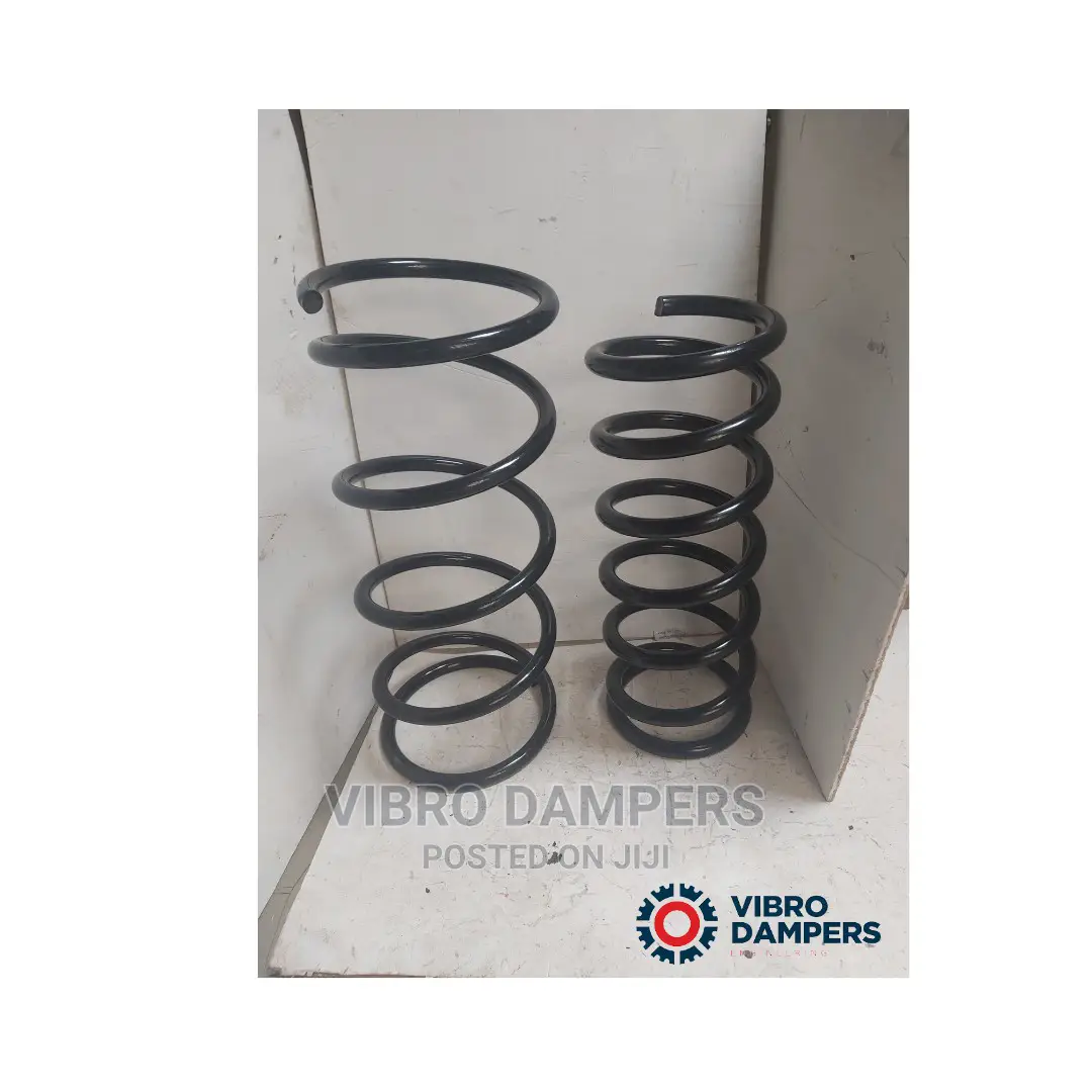 Toyota Voxy/Noah Heavy-Duty Coil Springs