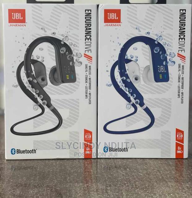 Endurance Dive Jbl - main view