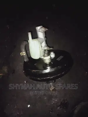 Brake Booster Complete Passo