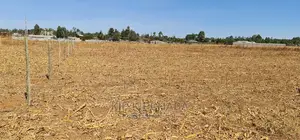 Prime Plots for Sale in Royalton Annex in Eldoret