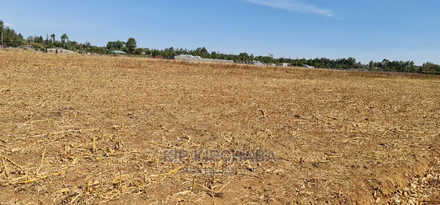 Prime Plots for Sale in Royalton Annex in Eldoret