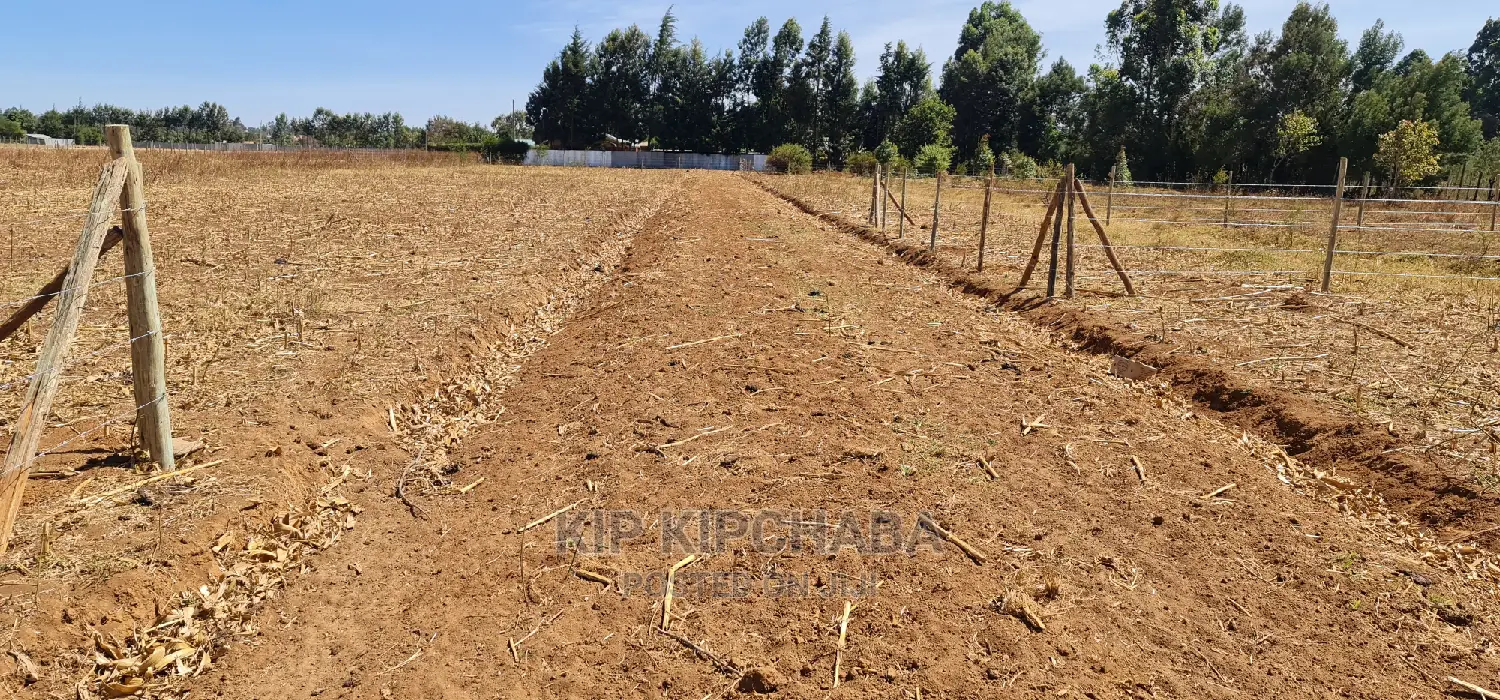 Prime Plots for Sale in Royalton Annex in Eldoret