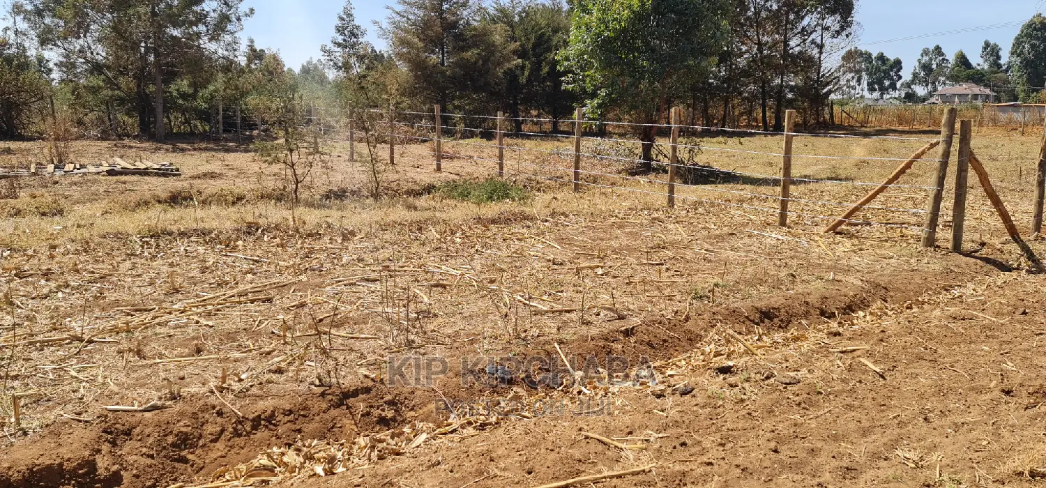 Prime Plots for Sale in Royalton Annex in Eldoret
