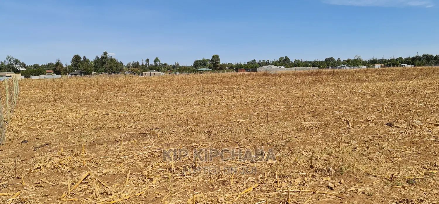 Prime Plots for Sale in Royalton Annex in Eldoret